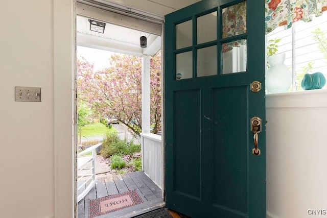 173 Mosley Dr Unit 1, Syracuse, NY 13206 - entryway with plenty of natural light