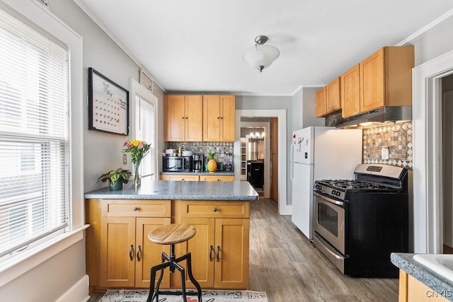 173 Mosley Dr Unit 1, Syracuse, NY 13206 - kitchen featuring appliances with stainless steel finishes, under cabinet range hood, a peninsula, tasteful backsplash, and light wood-style floors