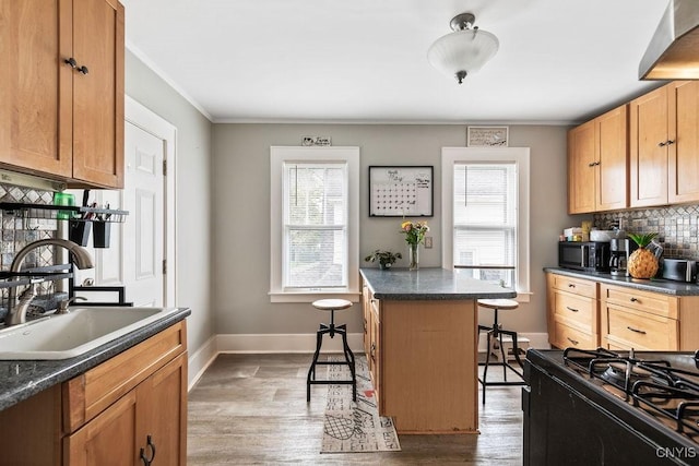 173 Mosley Dr Unit 1, Syracuse, NY 13206 - kitchen with a sink, healthy amount of natural light, black appliances, backsplash, and ornamental molding