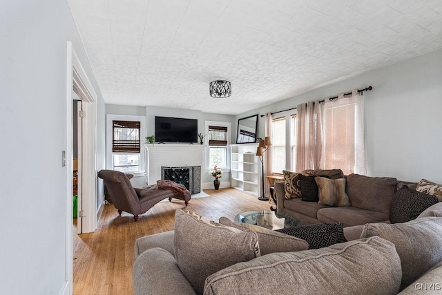 173 Mosley Dr Unit 1, Syracuse, NY 13206 - living room featuring wood finished floors and a fireplace with flush hearth