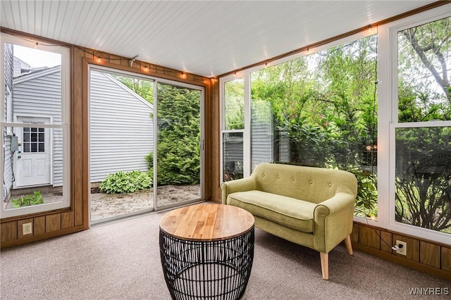 370 Mount Vernon Rd, Amherst, NY 14226 - sunroom / solarium featuring carpet and wooden walls