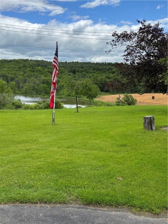 115 Depew Rd, Tioga, NY 13734 - surrounding community with a water view, a lawn, and a forest view