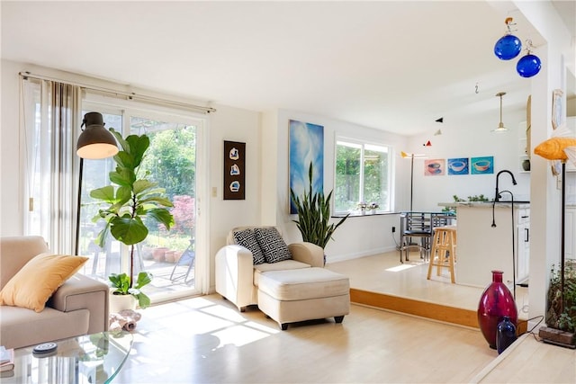 2804 Westinghouse Rd, Horseheads, NY 14845 - living room featuring healthy amount of natural light and wood finished floors