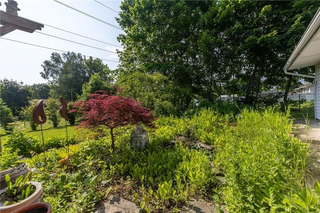2804 Westinghouse Rd, Horseheads, NY 14845 - view of yard