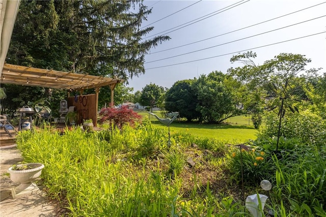 2804 Westinghouse Rd, Horseheads, NY 14845 - view of grassy yard featuring a pergola