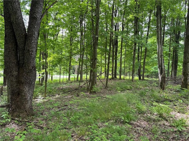 Thornton Rd, Charlotte, NY 14782 - photo 1