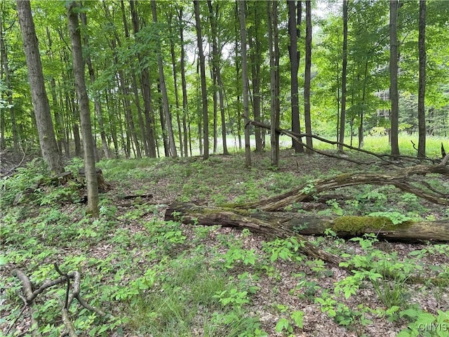 Thornton Rd, Charlotte, NY 14782 - photo 7
