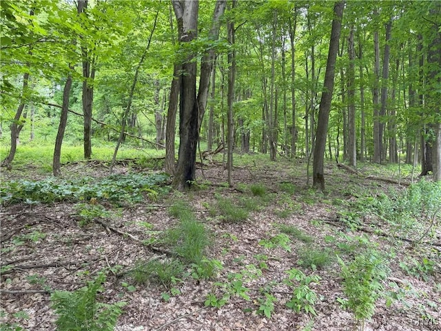 Thornton Rd, Charlotte, NY 14782 - photo 13