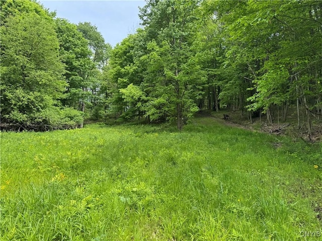 Thornton Rd, Charlotte, NY 14782 - photo 18