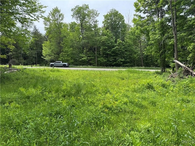 Thornton Rd, Charlotte, NY 14782 - photo 19