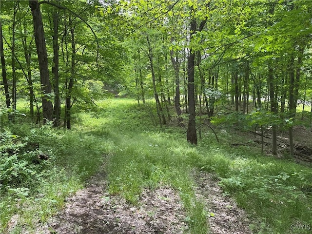 Thornton Rd, Charlotte, NY 14782 - photo 26