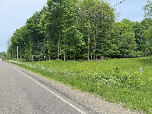 Thornton Rd, Charlotte, NY 14782 - photo 29
