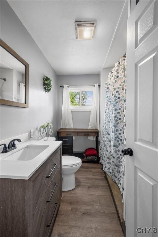 30 Bakeman St, Fulton, NY 13069 - bathroom featuring vanity, wood finished floors, toilet, and a shower with curtain