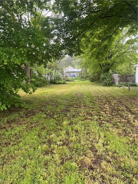 8193 State Highway 206, Tompkins, NY 13839 - view of yard