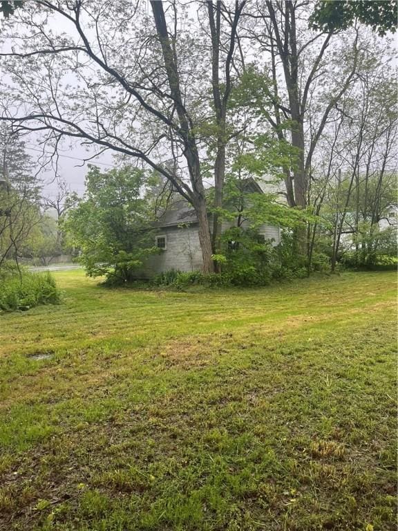 8193 State Highway 206, Tompkins, NY 13839 - view of green lawn