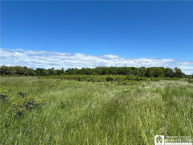 12298 Alleghany Rd, Hanover, NY 14136 - view of nature