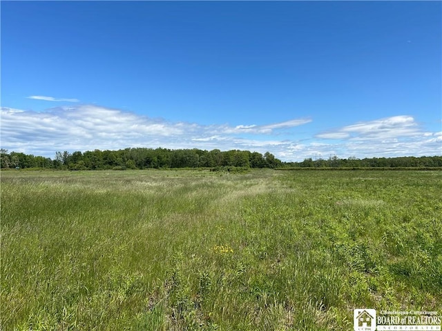 12298 Alleghany Rd, Hanover, NY 14136 - view of undeveloped land with rural landscape