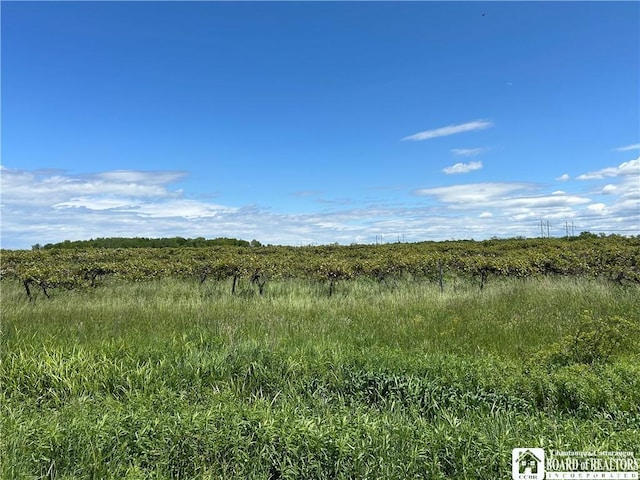 12298 Alleghany Rd, Hanover, NY 14136 - view of local wilderness with rural landscape