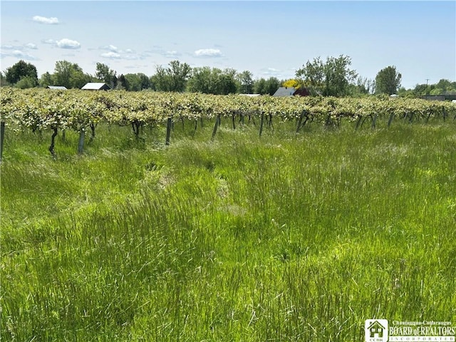 12298 Alleghany Rd, Hanover, NY 14136 - view of local wilderness featuring rural landscape