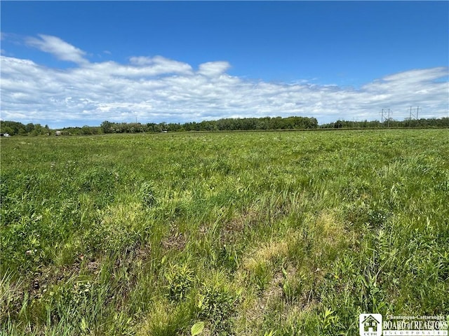 12298 Alleghany Rd, Hanover, NY 14136 - view of undeveloped land with rural landscape