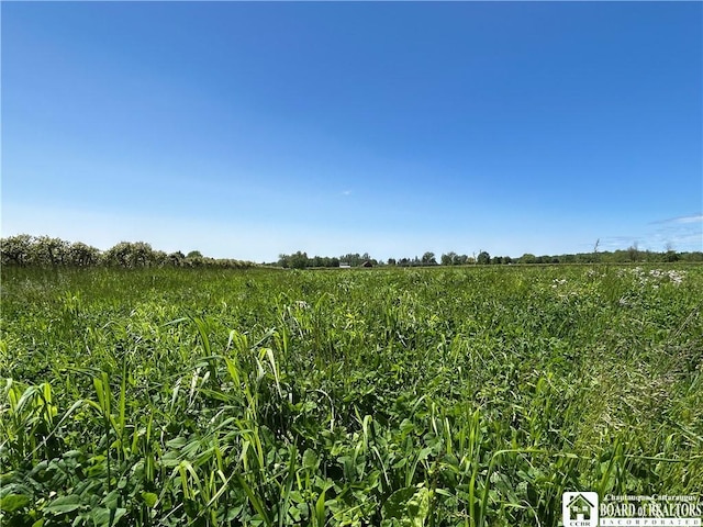 12298 Alleghany Rd, Hanover, NY 14136 - view of undeveloped land featuring rural landscape