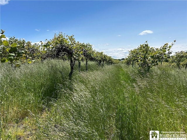 12298 Alleghany Rd, Hanover, NY 14136 - view of local wilderness