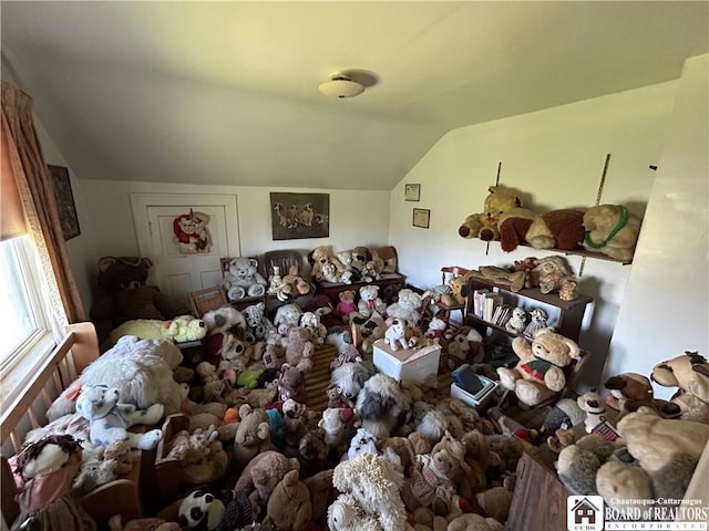 12298 Alleghany Rd, Hanover, NY 14136 - miscellaneous room with vaulted ceiling