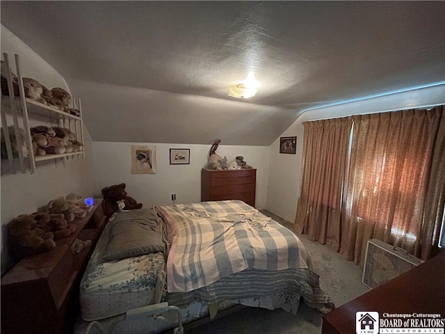 12298 Alleghany Rd, Hanover, NY 14136 - carpeted bedroom with vaulted ceiling