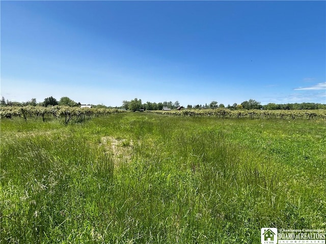 12298 Alleghany Rd, Hanover, NY 14136 - view of local wilderness with rural landscape