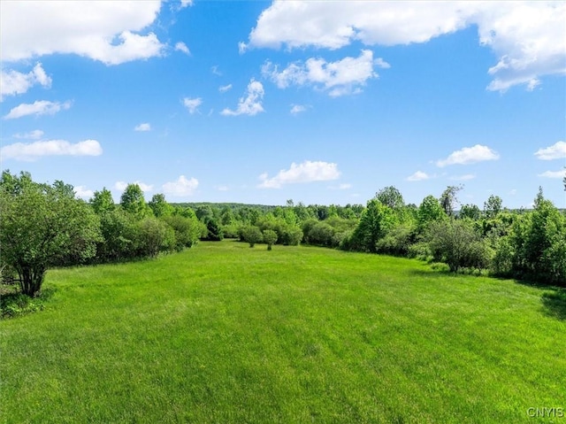 LOT63 E Lamb Rd, Richland, NY 13142 - photo 3