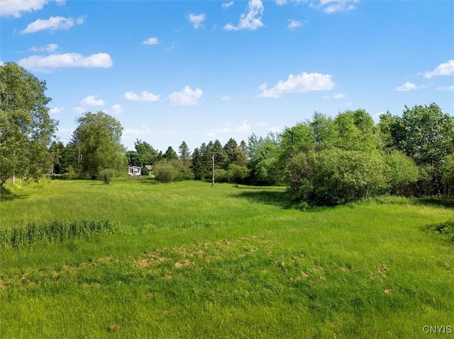 LOT63 E Lamb Rd, Richland, NY 13142 - photo 4