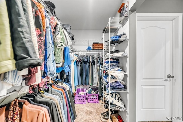 3906 Ontario Dr, Wheatfield, NY 14120 - view of walk in closet