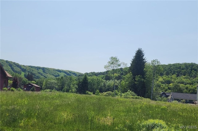 24 Fillmore Dr, Ellicottville, NY 14779 - photo 1