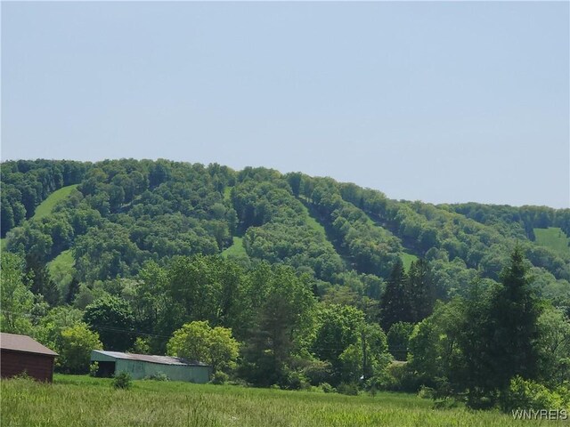 24 Fillmore Dr, Ellicottville, NY 14779 - photo 3