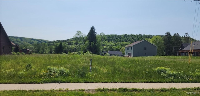 24 Fillmore Dr, Ellicottville, NY 14779 - photo 4