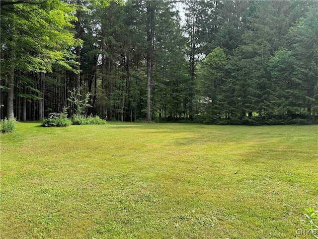 30 Treehaven Rd, Wethersfield, NY 14066 - view of green lawn with a view of trees