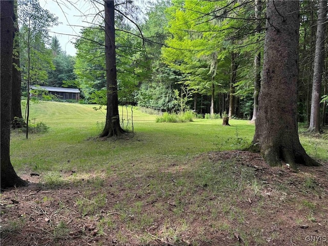 30 Treehaven Rd, Wethersfield, NY 14066 - view of green lawn featuring a view of trees