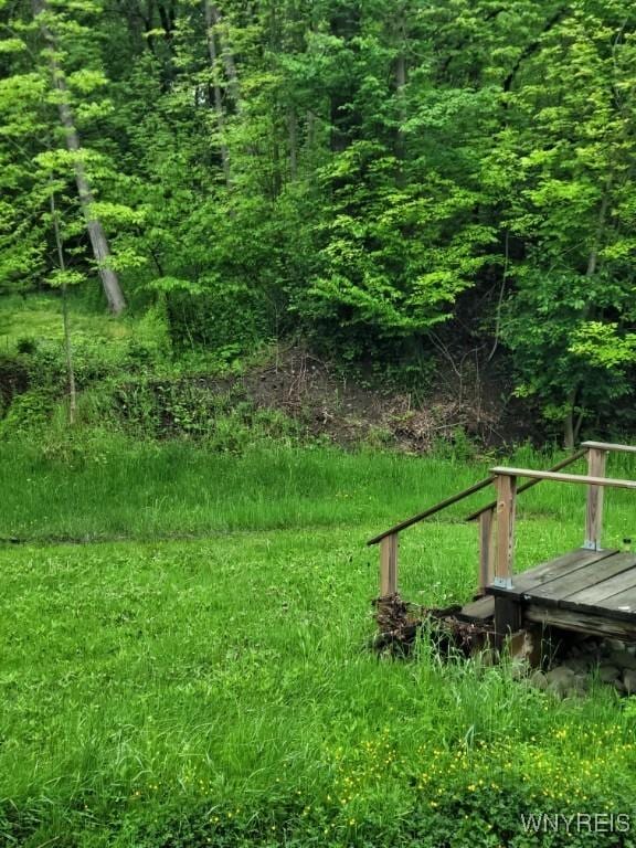 4368 State Route 19, Gainesville, NY 14550 - view of yard