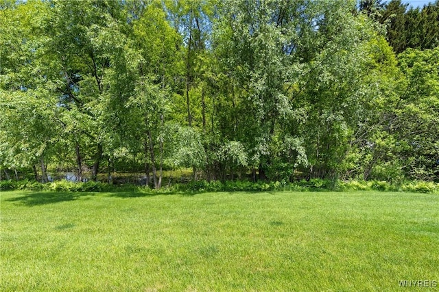 1660 Shallow Creek Trl, Webster, NY 14580 - view of green lawn