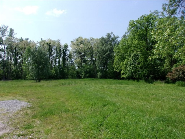 0 Main St, Richmond, NY 14471 - photo 2