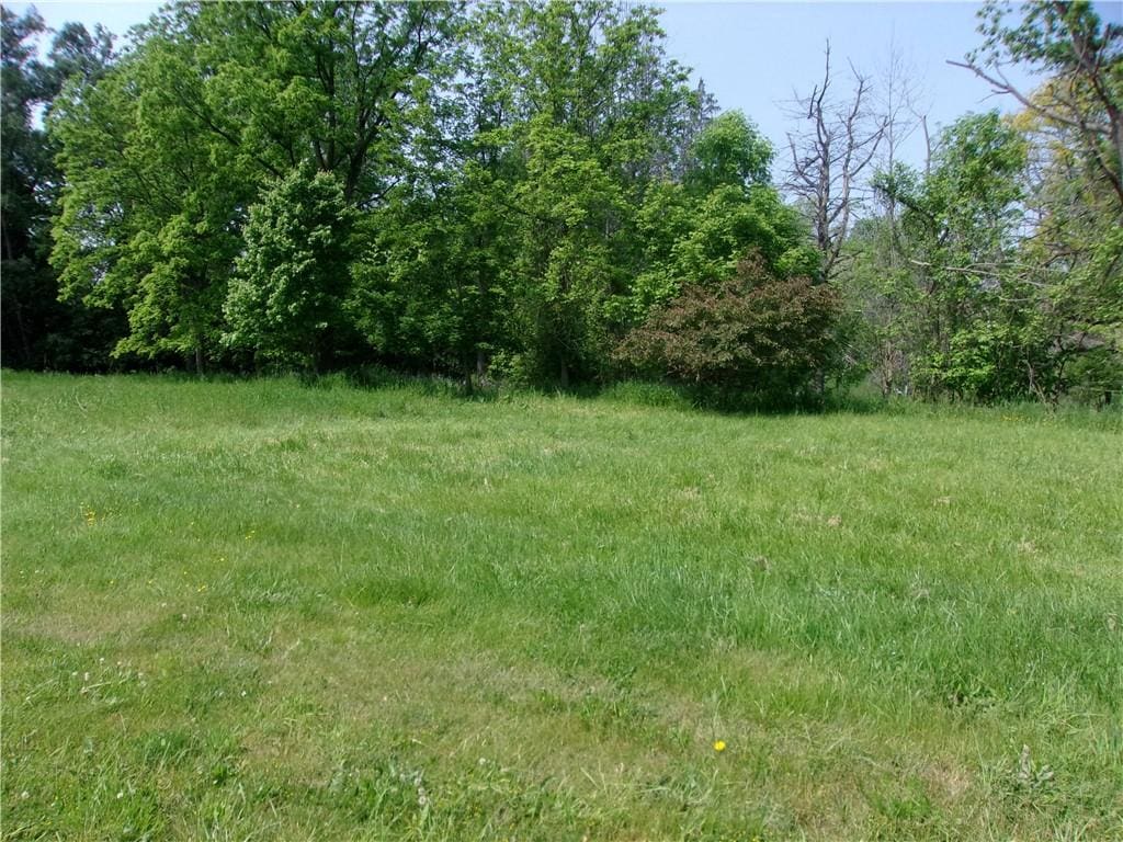 0 Main St, Richmond, NY 14471 - photo 4