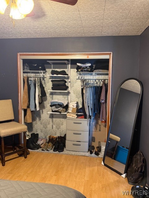 244 Parkwood Ave, Tonawanda-Town, NY 14217 - bedroom with wood finished floors and ceiling fan