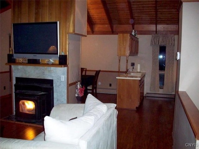 47089 County Route 100, Alexandria, NY 13640 - living room featuring wooden ceiling, a wood stove, and dark wood-style floors