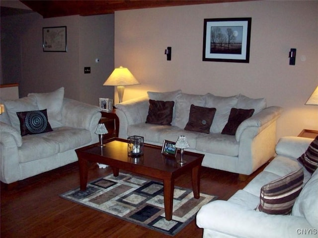 47089 County Route 100, Alexandria, NY 13640 - living room featuring wood finished floors