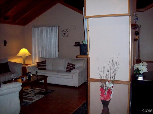 47089 County Route 100, Alexandria, NY 13640 - living room with wood finished floors and vaulted ceiling