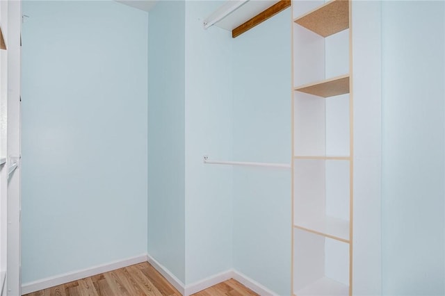 65 Geraldine Pkwy, Gates, NY 14624 - walk in closet with light wood-style flooring