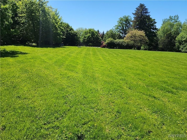 6731 Chestnut Ridge Rd, Orchard Park, NY 14127 - view of grassy yard