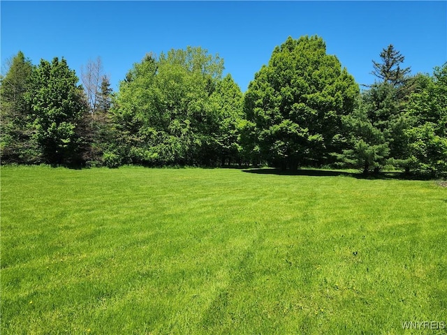 6731 Chestnut Ridge Rd, Orchard Park, NY 14127 - view of green lawn