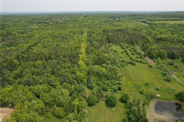6731 Chestnut Ridge Rd, Orchard Park, NY 14127 - aerial view of a heavily wooded area