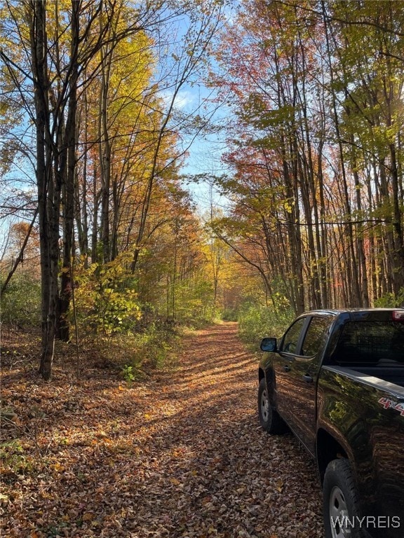 LOT45 Mcdonald Rd, Colchester, NY 13782 - photo 2